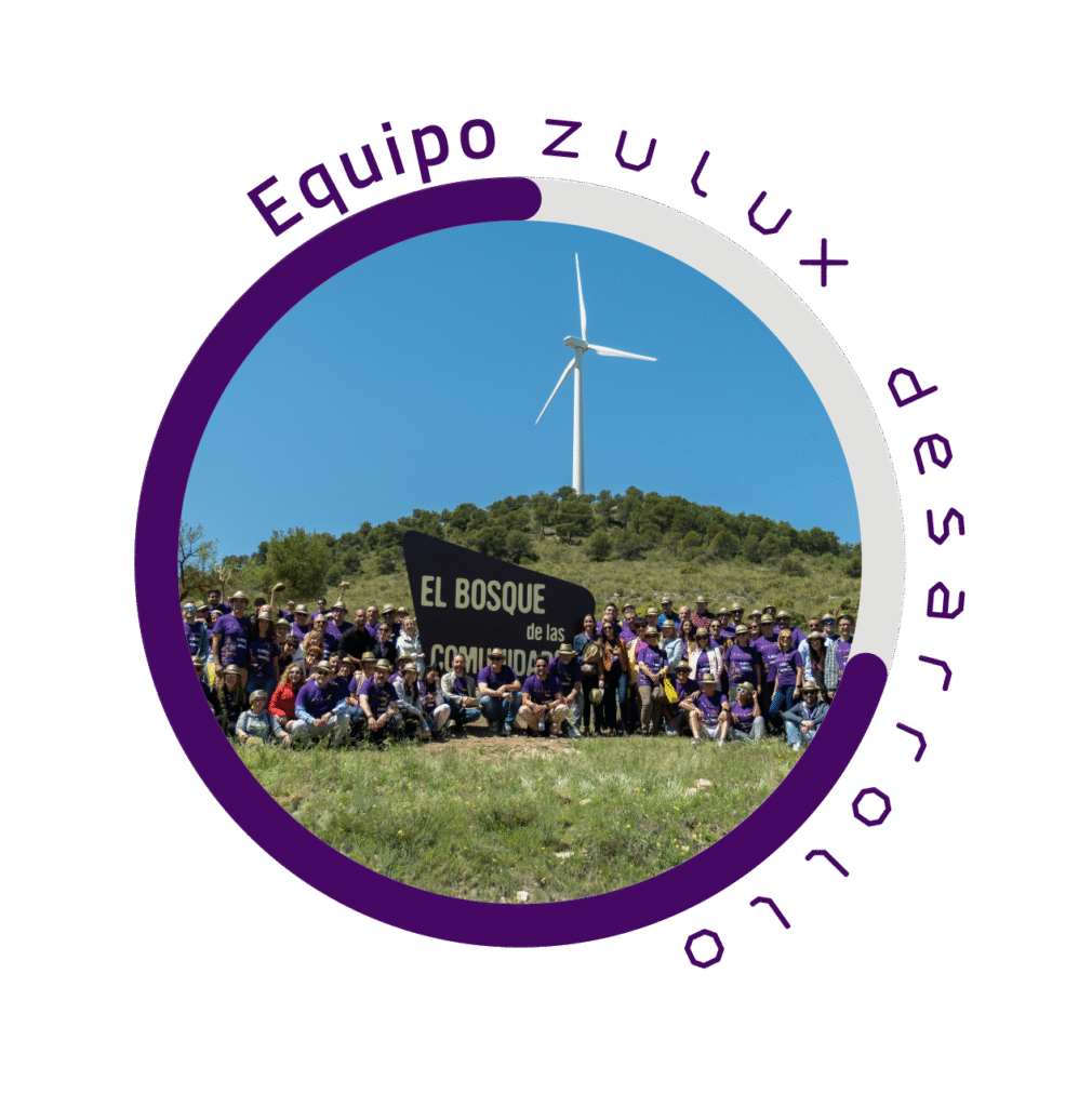 Zulux Desarrollo